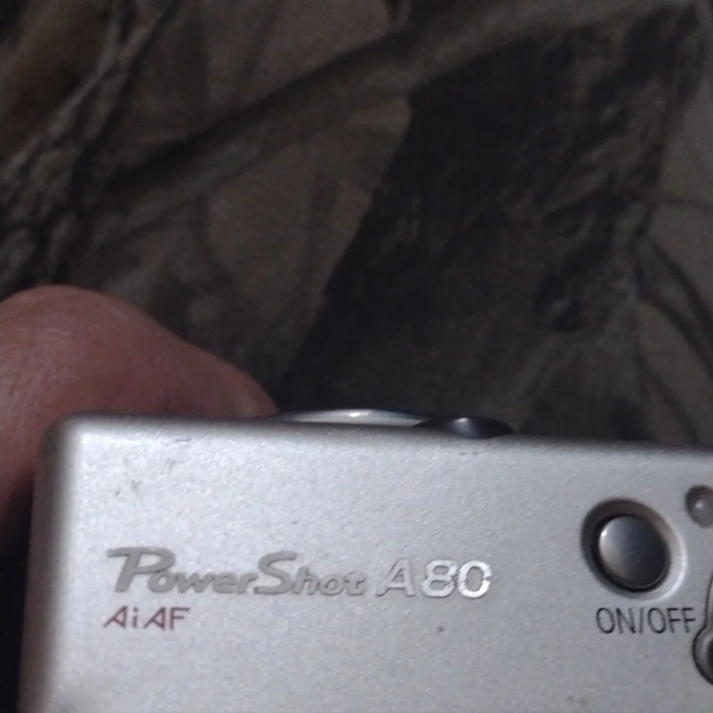Canon PowerShot A 80 Digital Camera